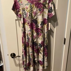 Lularoe Carly swing dress!
